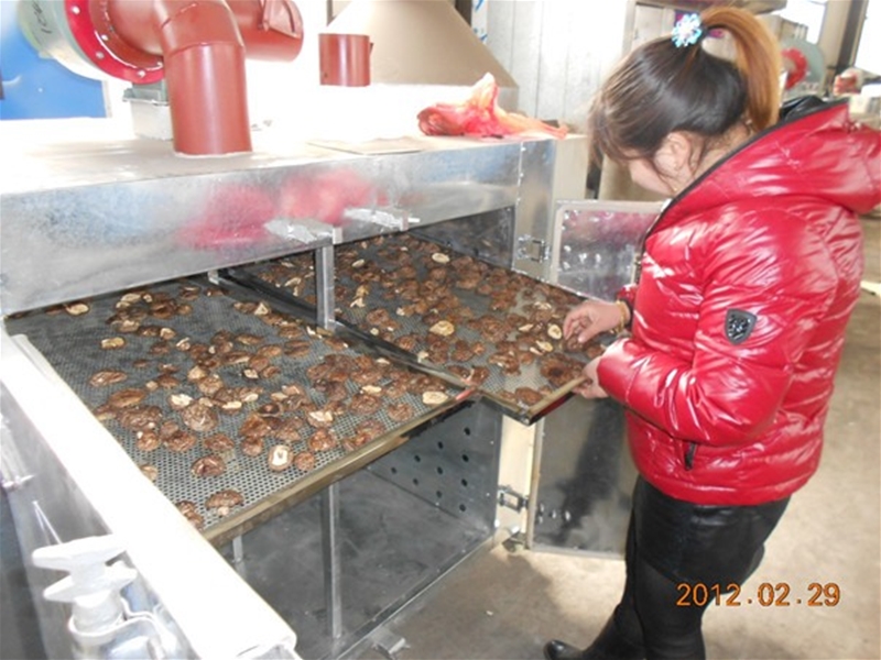 Box type mushroom drying equipment (click to enter)