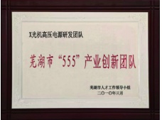 芜湖市“555”产业创新团队